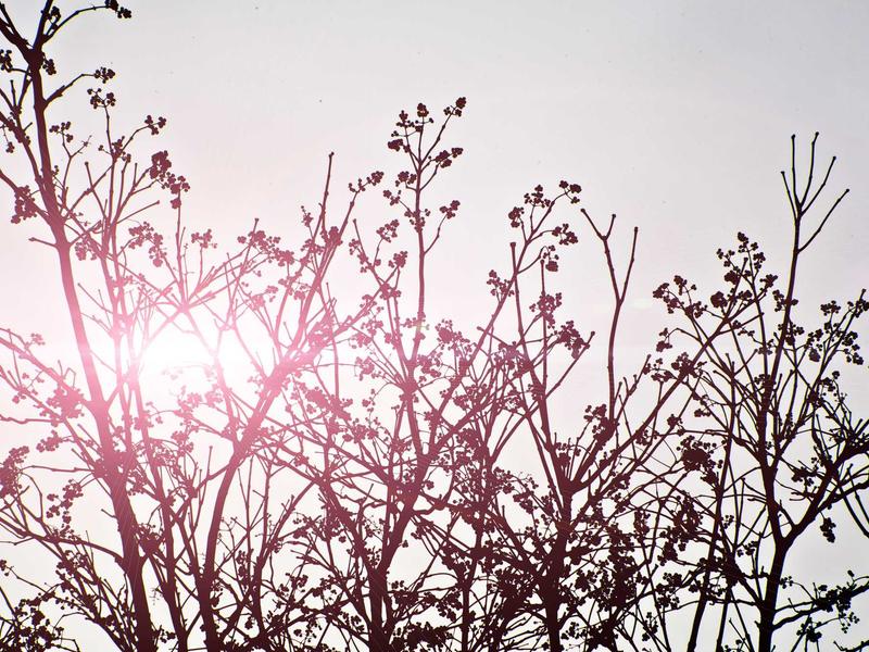 sudoku mind game screenshot 6