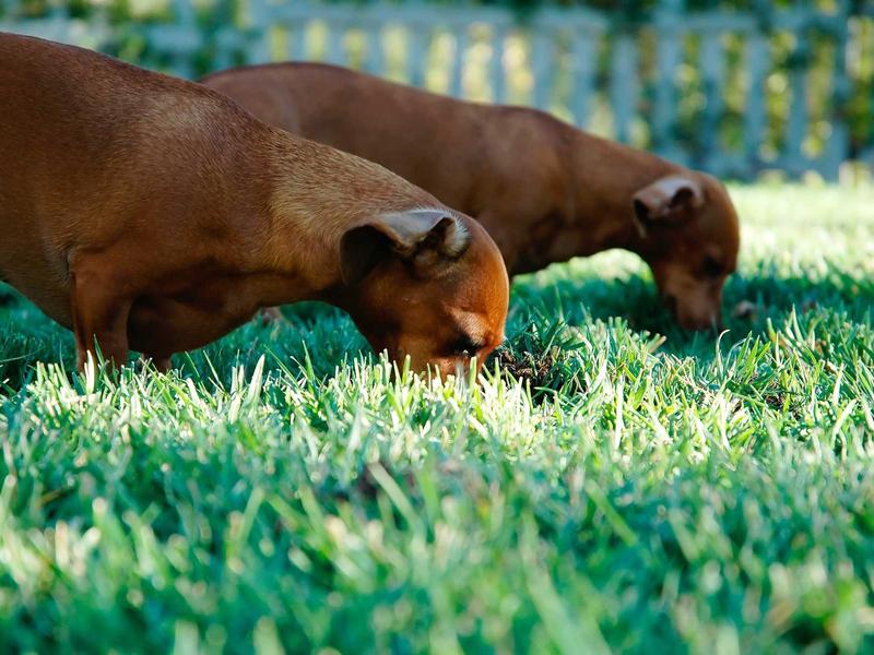 sudoku pattern learning screenshot 1