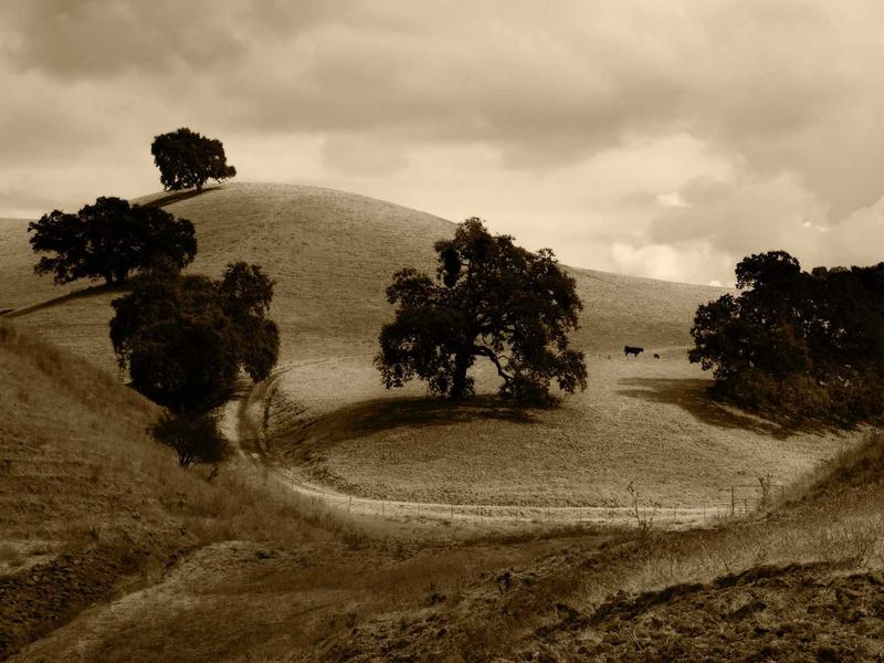 sudoku pattern learning screenshot 2