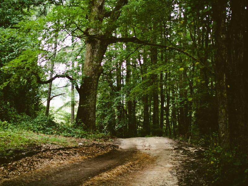 sudoku solving methods screenshot 5